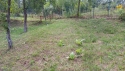 apartamente breaza
