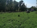 apartamente breaza